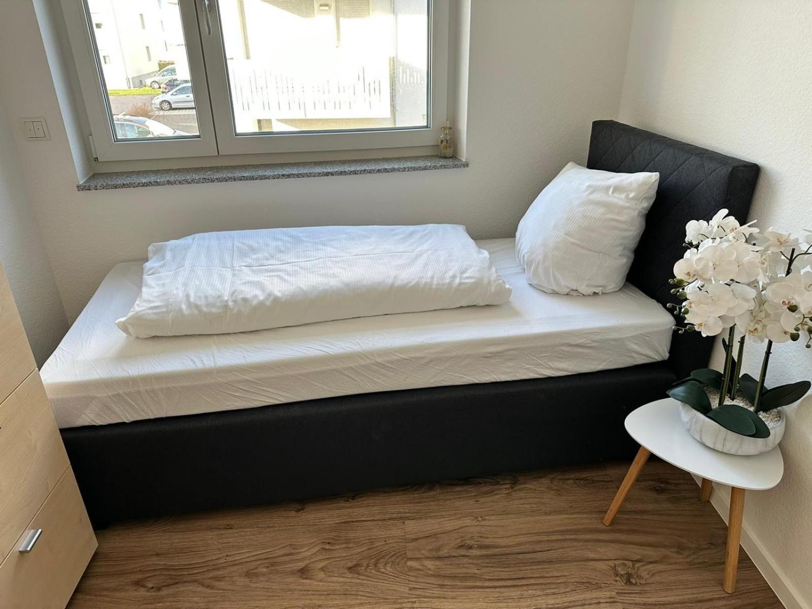 Ferienwohnung Grosse Cozy 4-Zi-Whg Mit Balkon Naehe Europa Park Und Rulantica Lahr  Exterior foto